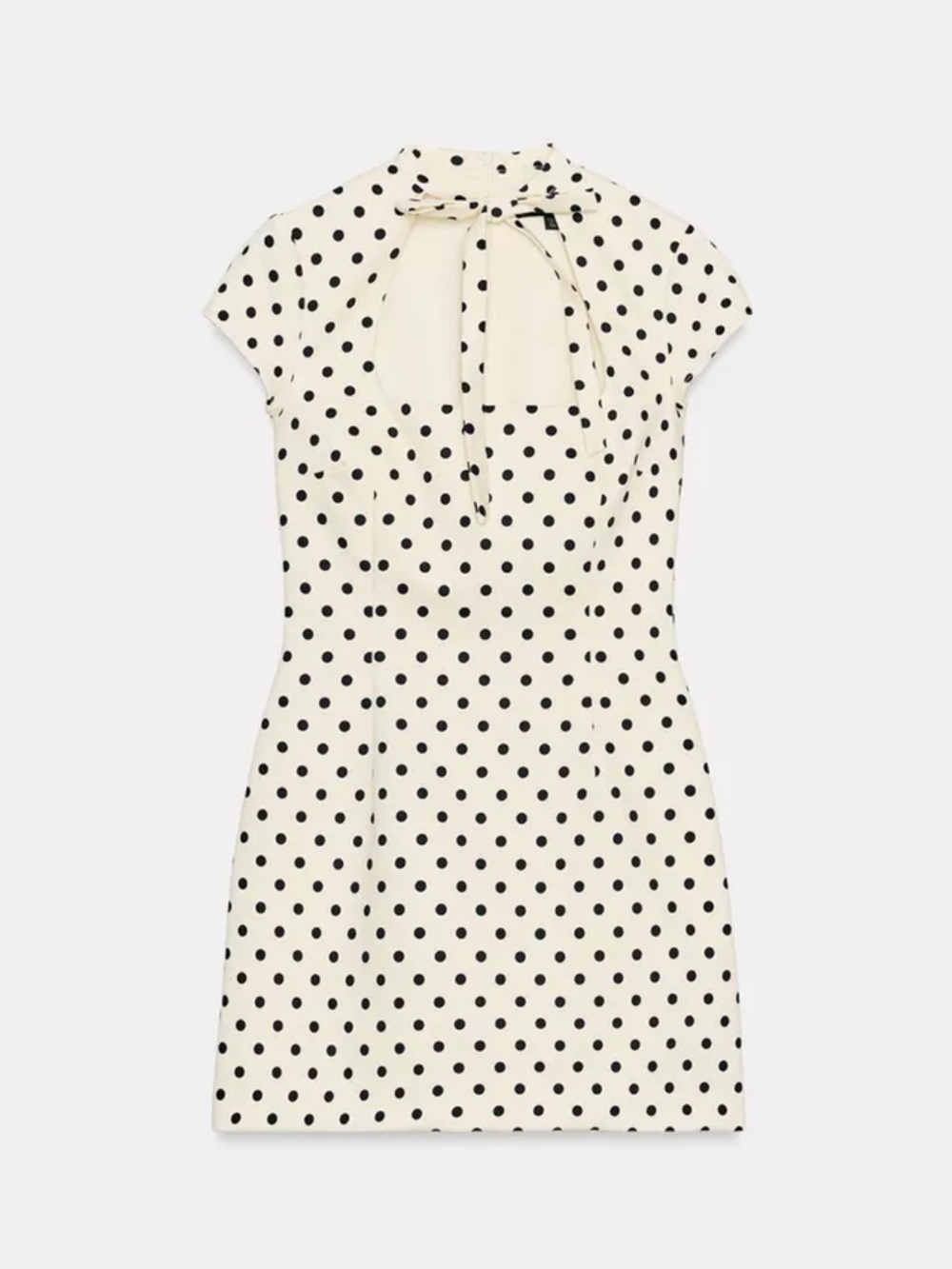 Zara polka dot dress